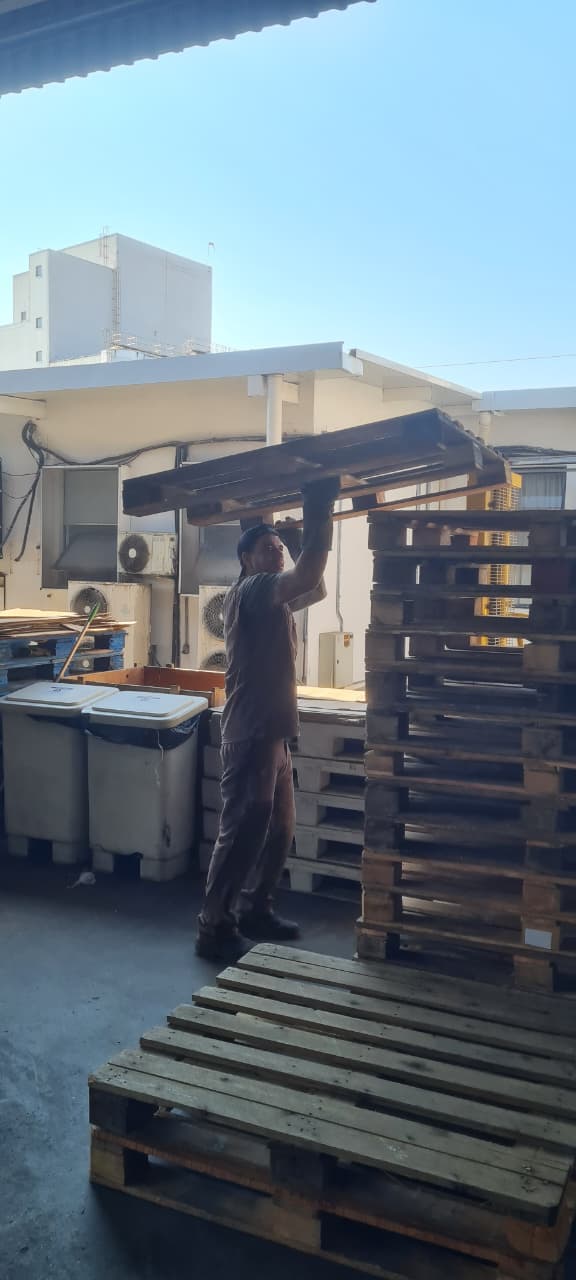 Inspeção de pallet antes da reforma